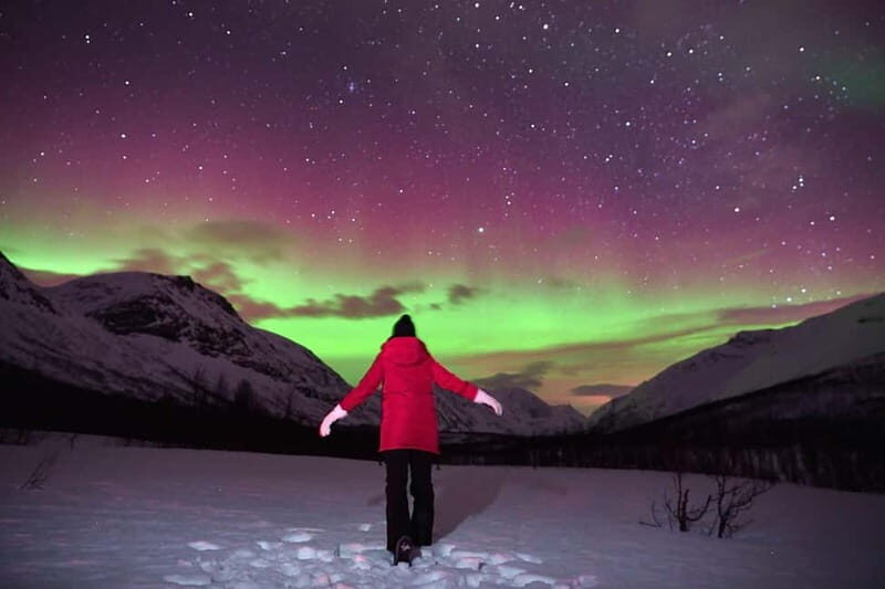 Tromsø: Private Northern Lights Tour with Pro Photographer - The Itinerary: What to Expect on the Night  