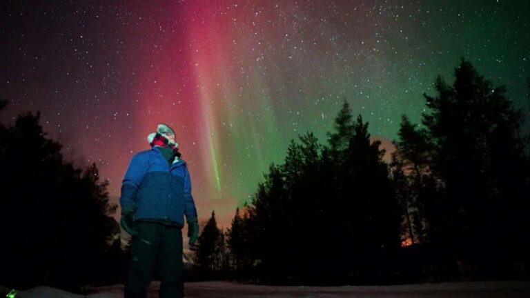 Tromsø: Small-Group Aurora Tour with Free Photos (8 Hours) - What’s Included and What to Prepare