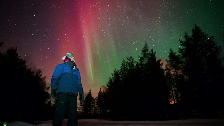 Tromsø: Small-Group Aurora Tour with Free Photos (8 Hours) - What’s Included and What to Prepare