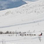 Tromsø: Small Group Kvaløya & Sommarøy Fjord Tour with Lunch - Final Thoughts