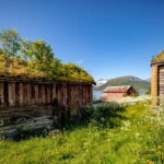 Tromsø: Summer Fjord Road Trip with Citizen Science - Why This Tour Offers Great Value