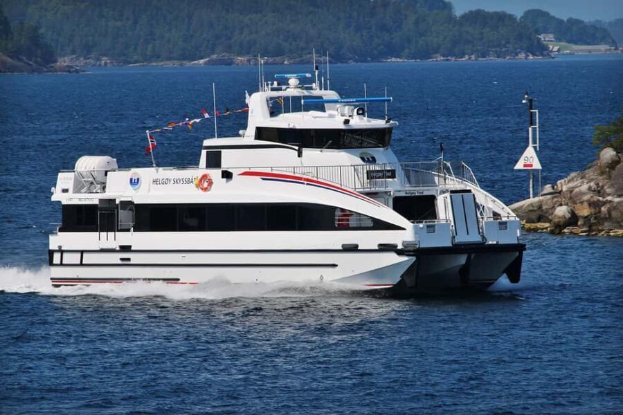 Tromsø: Whale Watching - fast and comfortable catamaran - Why This Whale Watching Tour Stands Out