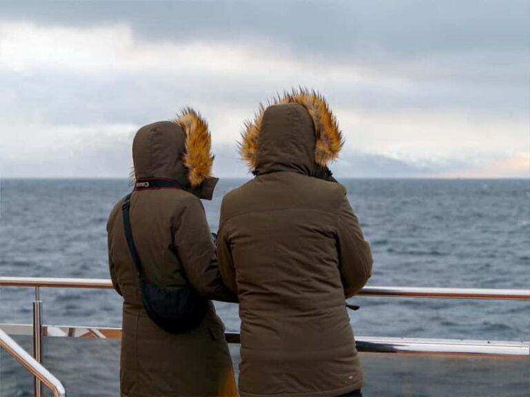 Tromsø: Whale Watching on hybrid boat with scenic bustrip - The Value of This Tour