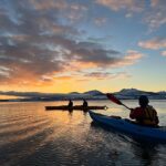 Tromsø: Winter Sea Kayaking Tour with Wildlife Sightings - Authentic Reviews and Insights