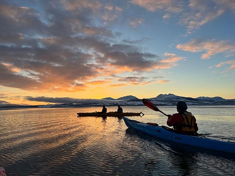 Tromsø: Winter Sea Kayaking Tour with Wildlife Sightings - Authentic Reviews and Insights