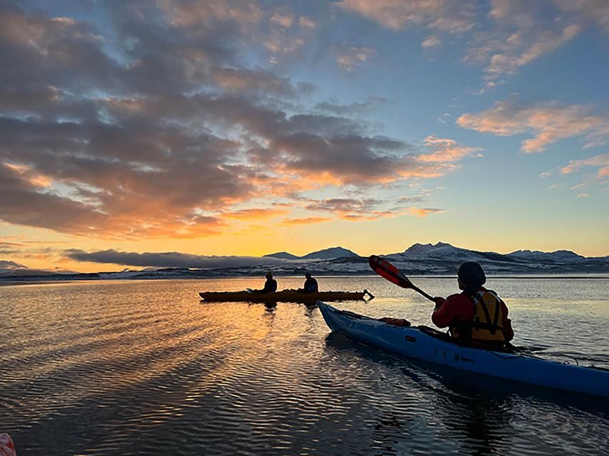 Tromsø: Winter Sea Kayaking Tour with Wildlife Sightings - Authentic Reviews and Insights