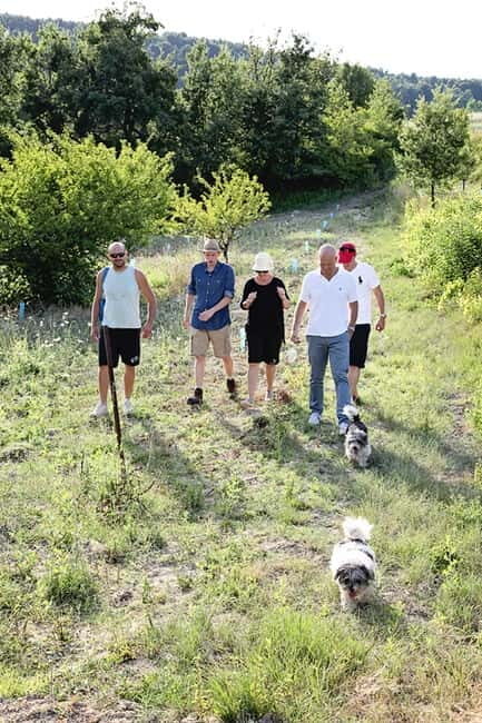 Truffle Hunting in Provence - The Truffle Hunt: Dogs, Ground, and the Excitement of Discovery