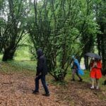 Truffle Tasting & Museum Tour in Umbria, near Perugia - Truffle Tasting & Museum Tour in Umbria, near Perugia