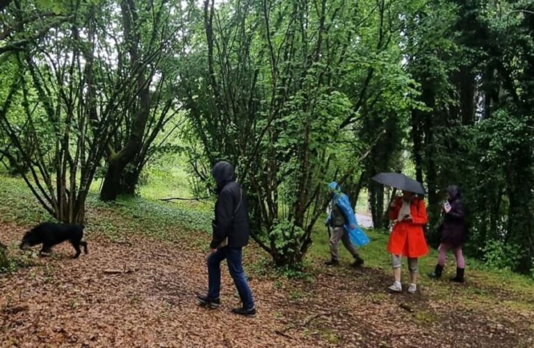 Truffle Tasting & Museum Tour in Umbria, near Perugia - Truffle Tasting & Museum Tour in Umbria, near Perugia