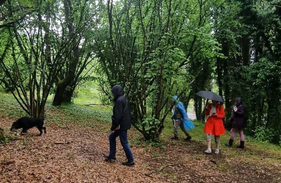 Truffle Tasting & Museum Tour in Umbria, near Perugia - Truffle Tasting & Museum Tour in Umbria, near Perugia