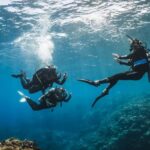 Try Scuba Diving from Boat in Budva - Budva Diving Center - Overview of the Experience