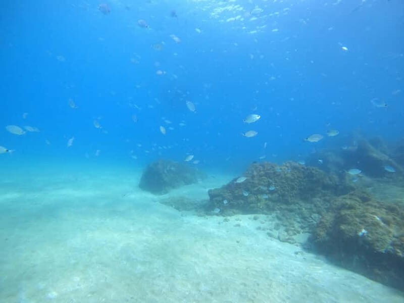 TRY SCUBA - Experience for beginners - The Equipment and Safety Measures