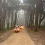 Tuk Tuk Sintra by All Palaces! - Detailed Breakdown of the Itinerary