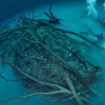 Tulum: 2 Dives in Chac Mool Cenote - A Closer Look at the Itinerary & Experience