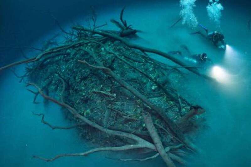 Tulum: 2 Dives in Chac Mool Cenote - A Closer Look at the Itinerary & Experience