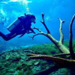 Tulum: 2 Tank Cenote Dive - What Makes This Cenote Tour Stand Out?