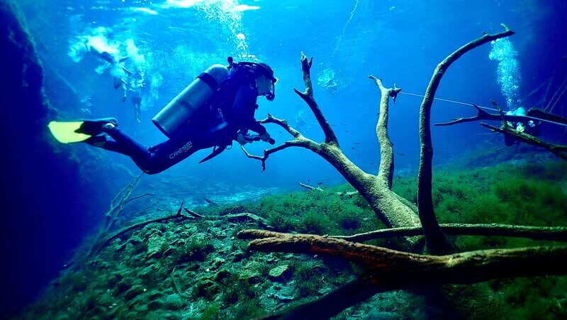 Tulum: 2 Tank Cenote Dive - What Makes This Cenote Tour Stand Out?