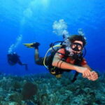 Tulum: 2 Tank Reef Diving - The Value & Considerations