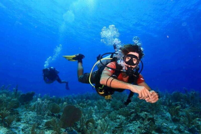 Tulum: 2 Tank Reef Diving - The Value & Considerations