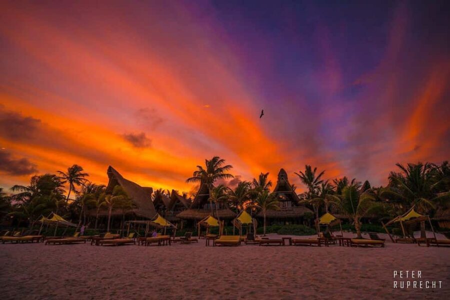 Tulum: Ahau de Noche Dinner with Drinks and Hotel Transfer - What to Expect from the Tour