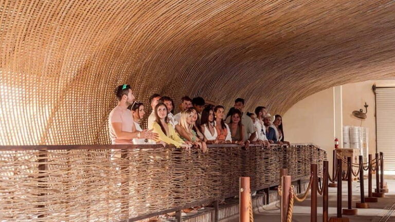 Tulum Beer Tasting Brewery Tour Beer School & Transportation - Who Should Consider This Tour?