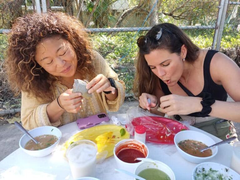 Tulum: Best Taco Tour - Who Should Consider This Tour?