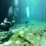 Tulum: Discover Scuba Diving in Cenotes - Who would love this tour?