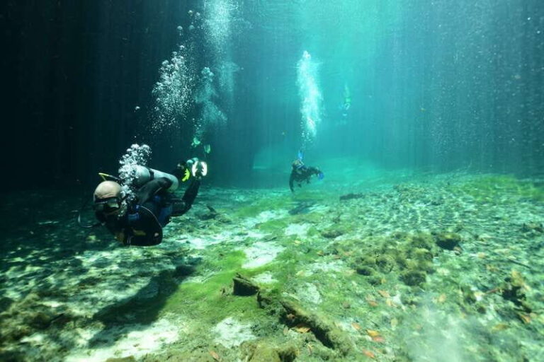 Tulum: Discover Scuba Diving in Cenotes - Who would love this tour?
