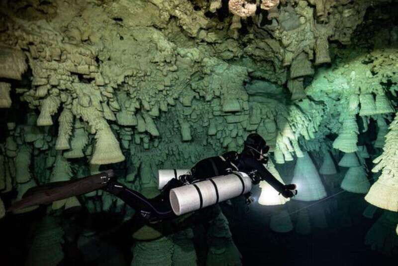 Tulum: Discover the Depths of Dos Ojos Cenote - An In-Depth Look at the Experience