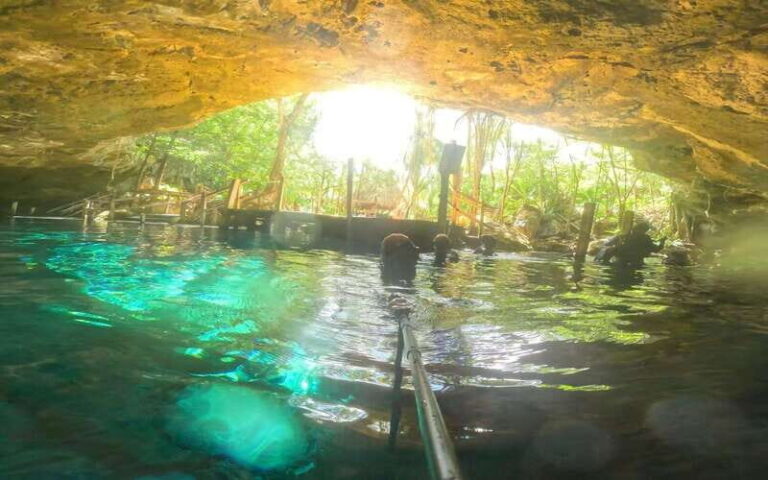 Tulum: Dos Ojos Cenote 2 Scuba Dives with Transfer Option - Why This Tour Stands Out