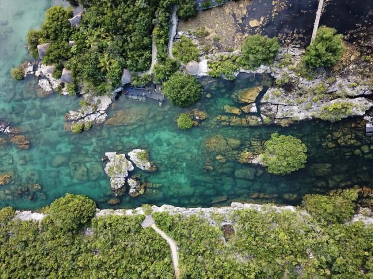 Tulum: Mayan Ruins, Cenote and Yalkú Lagoon Tour - Snorkeling in Yalkú Lagoon: Vibrant Marine Life