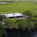 Tulum: Pargo Restaurant Cenote Dining Experience - What the Price Gets You