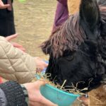 Turin: Encounter with Alpacas on an Educational Farm with a Tour Guide - Why This Experience Offers Good Value