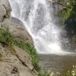 Turtles Release Adventure - Practical Considerations