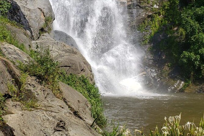 Turtles Release Adventure - Practical Considerations