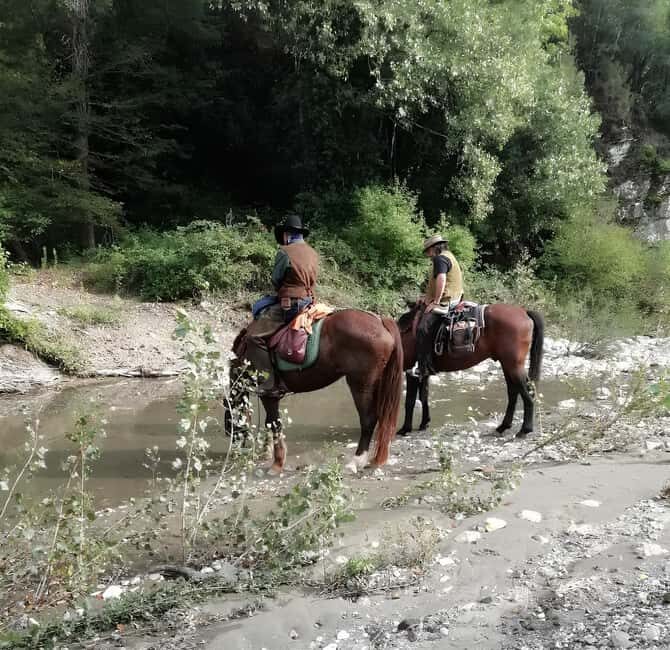 Tuscany: Horseback Riding Experience in Buonconvento - FAQ
