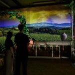 Tuscany: Immersive Winery + tasting (4 wines) - FAQ