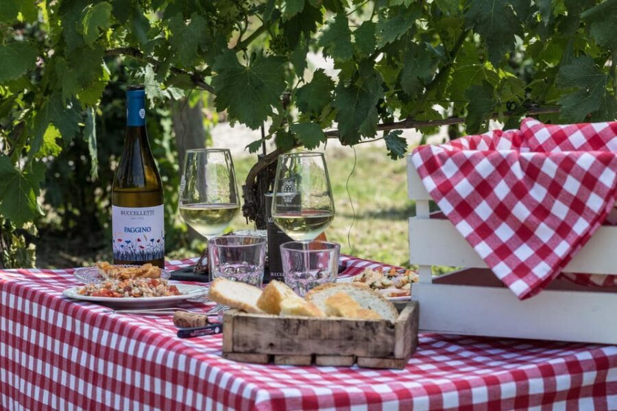 Tuscany: White Wine Tasting with Aperitivo at a Local Winery - The Winery and Surroundings  