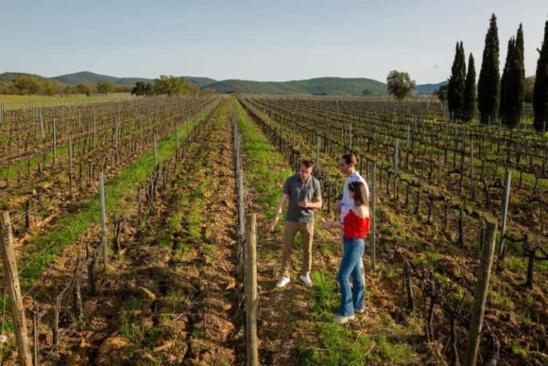 Tuscany: Wine Tasting Experience - Why This Tour Works Well