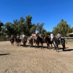 Tuscon: Rancho Cerros Horseback Riding Tout with Great Views - Authentic and Unforgettable Views