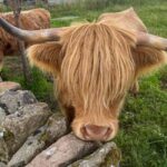 Two Day Taster Tour of Skye and the Highlands - What Makes This Tour Stand Out