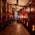 Typical experience in Monferrato: winery tour, tasting, and lunch - The Sum Up: Who Will Love This Tour?
