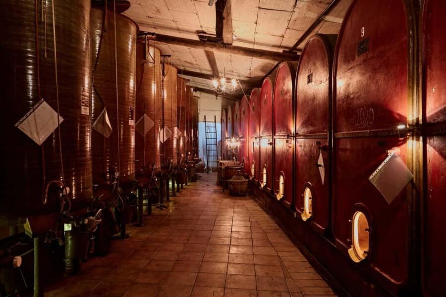 Typical experience in Monferrato: winery tour, tasting, and lunch - The Sum Up: Who Will Love This Tour?