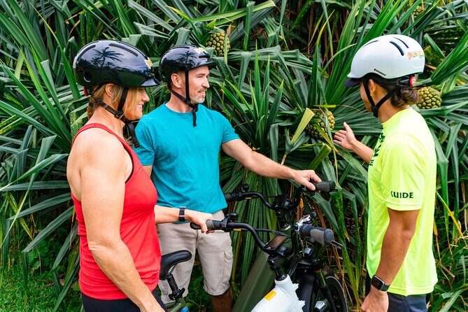 Umauma Falls eBike Tour in Hakalau - The Sum Up: Who Is This Tour Best For?