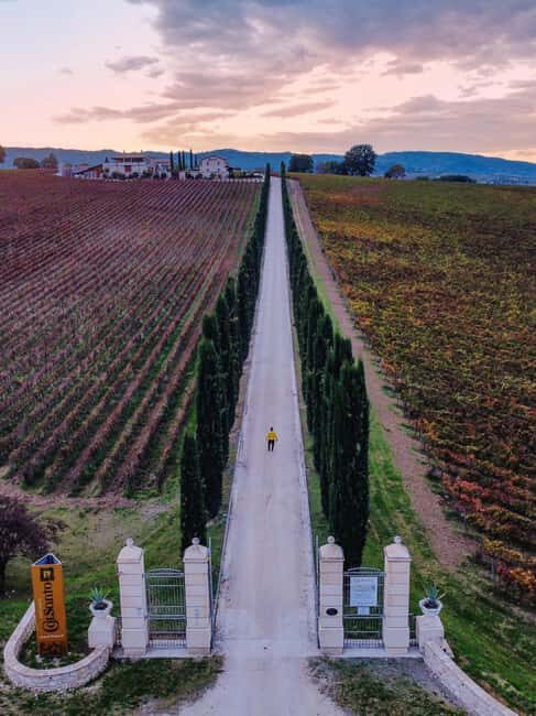 Umbria: Guided wine tasting ColSanto - The Wines and Pairings