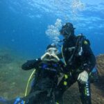 Underwater Archaeological Tour: Acicastello (CT) - The Practicalities: What’s Included and What You Should Know