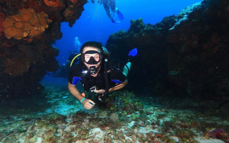 Underwater Museum Musa : SCUBA DIVING FOR BEGINNERS - Underwater Museum (MUSA) Dive