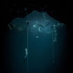 Underwater Portrait Photography Session - Pricing and Value