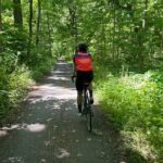 Unforgettable Small Group Biking Tours from Chicago to Milwaukee - The Experience: Pros and Cons
