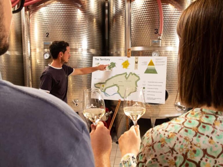 Valdobbiadene - Visit to the winery and tasting of DOCG Superiore wines - An Authentic Taste of Veneto’s Wine Heritage